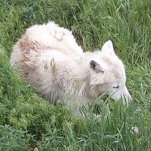 Meet your Posher, Jeff